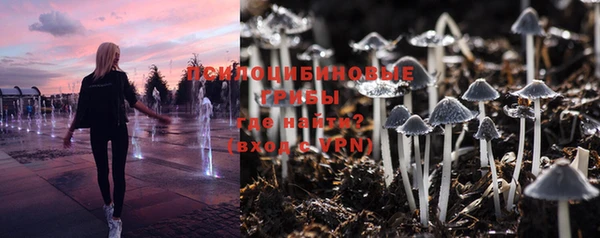 соль ск Верея