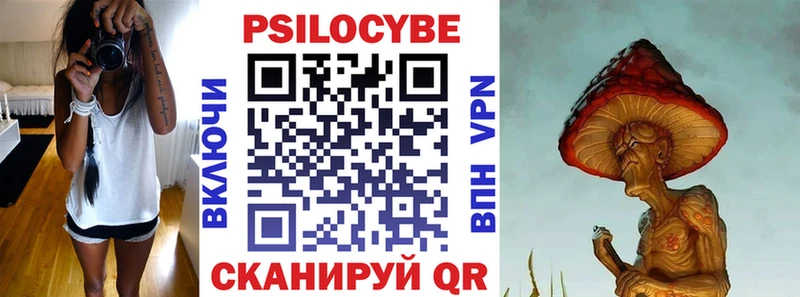 дарнет шоп  Жуковка  Псилоцибиновые грибы Cubensis 