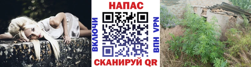 Бошки марихуана марихуана Жуковка